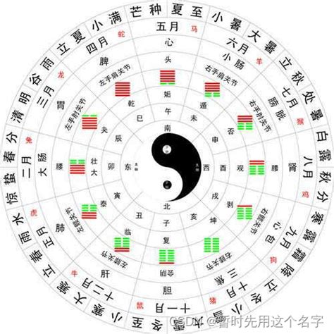 12天干地支|天干地支:基本概念,乾支與星象,乾支涵義,象法,組合序。